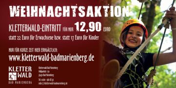 Aktionstickets - Weihnachtsaktion